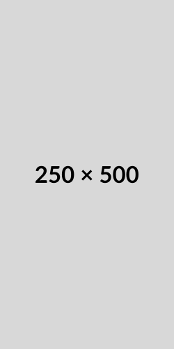 A gray placeholder image with dimensions 250 by 500 pixels displayed in black text at the center.