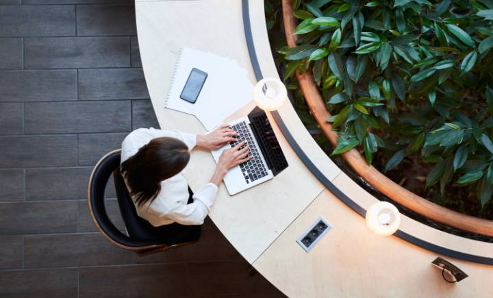 A person types on a laptop at a curved desk beside a large indoor plant, with a phone, notepad, and two lamps also on the desk.